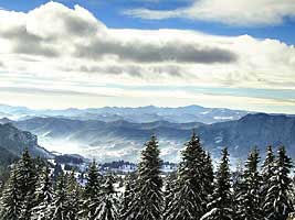 ������ �� ����� ��������� ����� - ��������