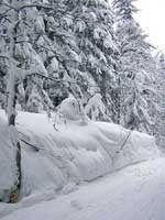 ����� ���� �������� - ���������